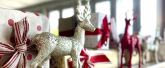 Christmas in July at Steenberg 		