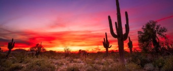 30th Annual Nicotine Dependence Center Conference: Tobacco Treatment and Digital Care