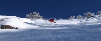 Cardiovascular Conference at Snowbird