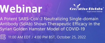 A Potent SARS-CoV-2 Neutralizing Single-domain Antibody (SdAb) Shows Therapeutic Efficacy in the Syrian Golden Hamster Model of COVID-19