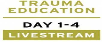 Treating PTSD + Complex Trauma with Dr Leah Giarratano 21-22 and 28-29 September 2023 Livestream - Ghent