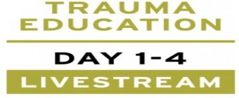 Treating PTSD + Complex Trauma with Dr Leah Giarratano 21-22 and 28-29 September 2023 Livestream - Oslo