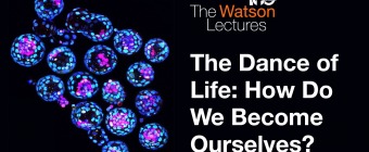 The Dance of Life: How Do We Become Ourselves?