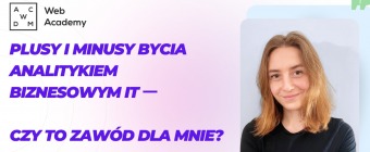 Plusy i minusy bycia Analitykiem Biznesowym IT 一 czy to zawód dla mnie?