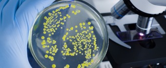 Particle Size Characterization - EU edition MasterClass
