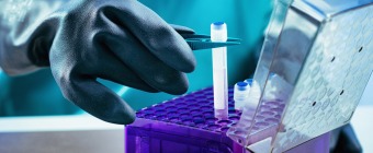 Cell Bank Establishment & Testing - EU edition MasterClass