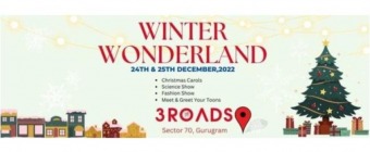 Winter Wonderland at Reach 3 Roads