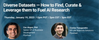 Diverse Datasets — How to Find, Curate & Leverage them to Fuel AI Research