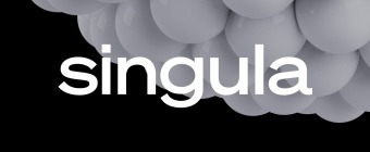 Business & Management Singula Meetup