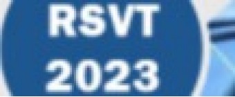 2023 The 4th International Conference on Robotics Systems and Vehicle Technology (RSVT 2023)