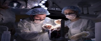 Rhoton-de Oliveira: Microsurgical and Endoscopic Approaches for Skull Base and Aneurysms 2023