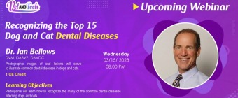 Recognizing the Top 15 Dog and Cat Dental Diseases Webinar by Dr. Jan Bellows