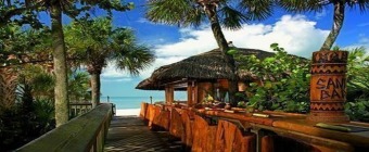 Mayo Clinic Gynecologic and Breast Imaging Review - Naples, Florida - December 4-8, 2023