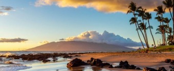 Mayo Clinic Tutorials in Diagnostic Radiology - Maui, Hawaii - January 14-18, 2024
