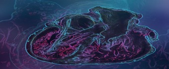 Adult Congenital Heart Disease Board Review Course and Practice Update