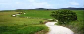 Transforming Community and Rural Healthcare: Digital Health and Workforce Innovation