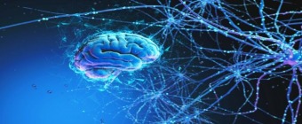 Mayo Clinic Stimulation Therapies for Epilepsy 2023
