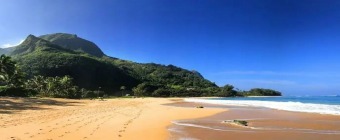Diagnostic Imaging Update on Kauai- June 23-25, 2024