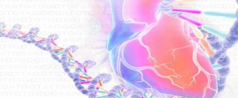 The Genetics of Heart and Vascular Disease