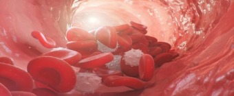 18th Bleeding and Thrombosing Diseases