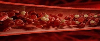 Classical Hematology 2023