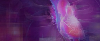 Heart Failure Management for NP, PA, and Primary Care Providers