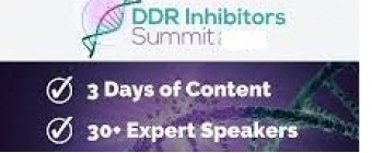6th DDR Inhibitors Summit
