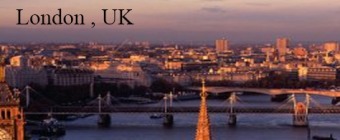  International Conference on Advances in Business Management and Information Science