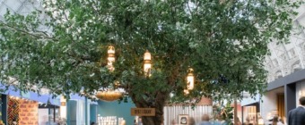 DECOREX INTERNATIONAL