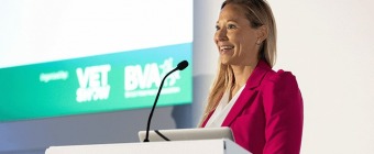 BVA LIVE