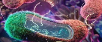 5th International Conference on Clinical Microbiology and Infectious Diseases