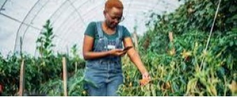 FarmTech Africa