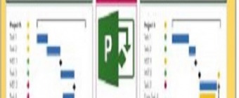 Training Course on ICT Tools for Modern Project and Program  Management