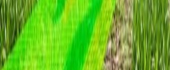 Training Course on Application of GIS in Agriculture and Climate Change