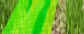 Training Course on Application of GIS in Agriculture and Climate Change