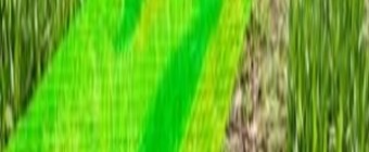 Training Course on Application of GIS in Agriculture and Climate Change
