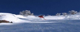 Cardiovascular Conference at Snowbird