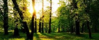Permaculture design to Reality