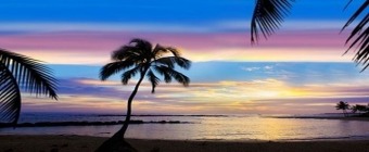 Infectious Diseases Practice Updates 2024