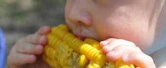 Grundy County Corn Festival