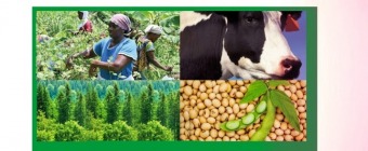 America International Agriculture Show 