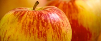 Midwest Fruit Explorers Show 