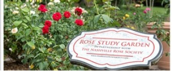 Nashville Rose Society Annual Rose Show