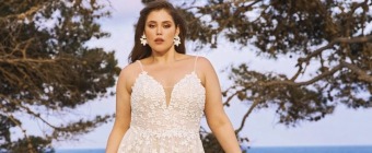TRUNK SHOW  - Avenue 22 Bridal