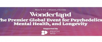 Wonderland Conference