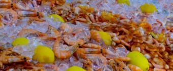 Siesta Beach Seafood & Music Festival