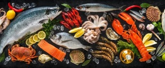 Punta Gorda Seafood & Music Festival