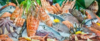 Englewood Seafood & Music Festival