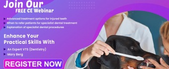 Advanced Dental Procedures.