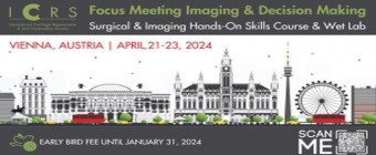 ICRS Focus Meeting Imaging and Decision Making